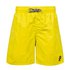 Protest Culture 16´´ Swimming Shorts