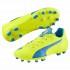 Puma Chaussures Football Evospeed 4.4 AG