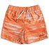 Quiksilver Acid Volley 14´´ Swimming Shorts