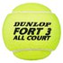 Dunlop Balles Tennis Fort TS All Court