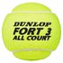 Dunlop Pelotas Tenis Fort TS All Court