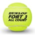 Dunlop Fort All Court TS Box
