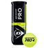 Dunlop Pro Tour Tennis Balls