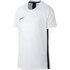 Nike Dri-Fit Academy T-shirt med korta ärmar