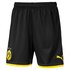 Puma Borussia Dortmund Home 19/20 Junior Shorts