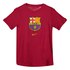 Nike Camiseta FC Barcelona Evergreen Crest 2 19/20
