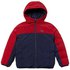 Lacoste Chaqueta Colorblock Quilted