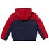 Lacoste Chaqueta Colorblock Quilted