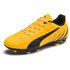 Puma Chaussures Football One 20.4 FG/AG