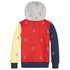 Tommy hilfiger Monogram Aop Embroidered Colour Block Hoodie