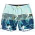 Quiksilver Everyday Lightning Youth 15´´ Swimming Shorts