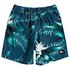Quiksilver Gioventù Paradise Volley 15´´ Nuoto Corti