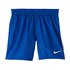 Nike Essential 4 Schwimmboxer