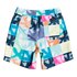Quiksilver Dye Check Volley Youth 15´´ Swimming Shorts