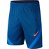 Nike Dri Fit Strike Shorts