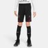 Nike Pantalon Corto Paris Saint Germain Dri Fit Strike 20/21 Junior