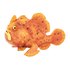 Safari Ltd フィギュア Frogfish