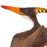 Safari ltd Figura Pterandon