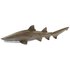 Safari ltd Figura Sand Tiger Shark