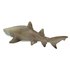 Safari ltd Chiffre Sand Tiger Shark