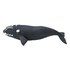 Safari Ltd Right Whale Figuur