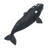 Safari ltd Chiffre Right Whale