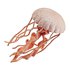 Safari ltd Jellyfish Sea Life Figure