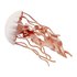 Safari ltd Figura Jellyfish Sea Life