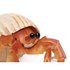 Safari ltd Hermit Crab Figuur