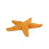 Safari ltd Starfish Sea Life Figure