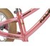 Raleigh Bicicleta Sin Pedales Sherwood Mini 12´´