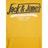 Jack & jones Sweat À Capuche Logo 2 Colors