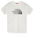 The North Face Biner Graphic 1 T-shirt med korte ærmer