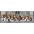 Clementoni Panorama-Beagles Puzzle 1000 Stücke