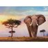 Clementoni Sunset In Africa Puzzle 500 Pieces